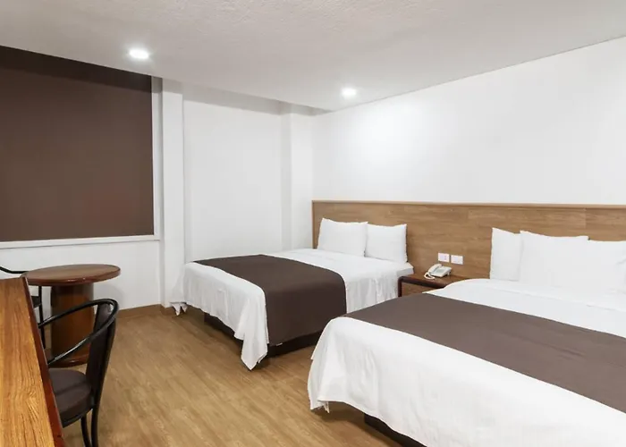 Hotel San Lucas 3*