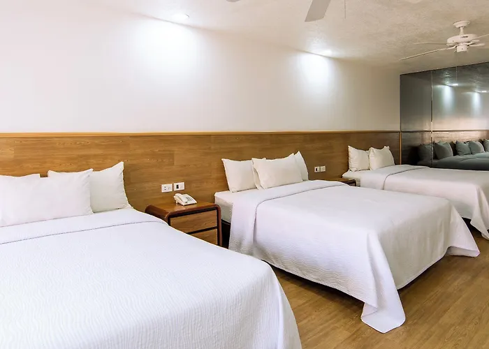 Hotel San Lucas 3*